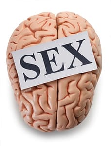 Sex, Brain and Blood Flow