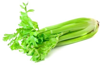 Celery and Low Calorie Food for Weight Loss
