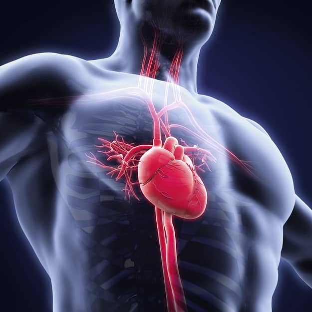 cardiac risk factors