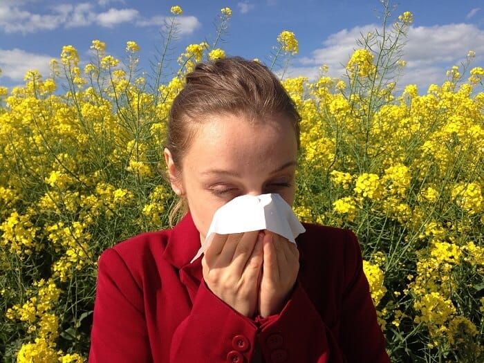 girl sneezing in handkerchief outdoors in front of a field of yellow flowers